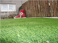 Artificial grass lawn